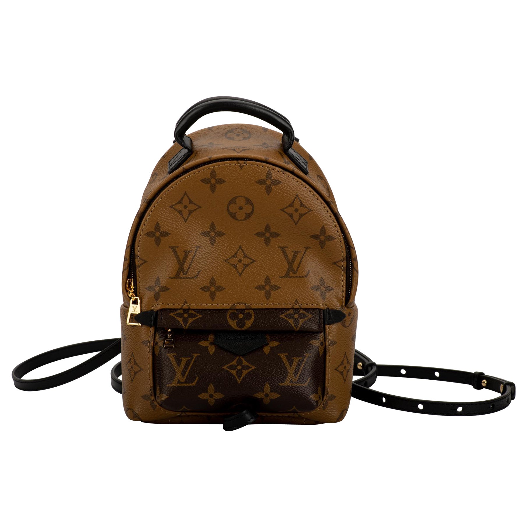 Louis Vuitton Ebene Reverse Monogram Coated Canvas Mini Palm Springs  Backpack Gold Hardware 2021 Available For Immediate Sale At Sothebys