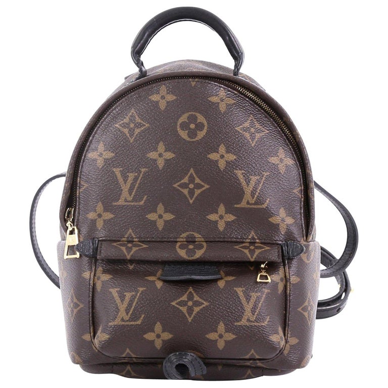 Louis Vuitton Palm Springs Backpack Monogram Canvas Mini For Sale at 1stdibs