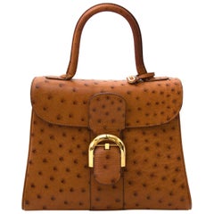 Delvaux Brillant PM Ostrich Brandy