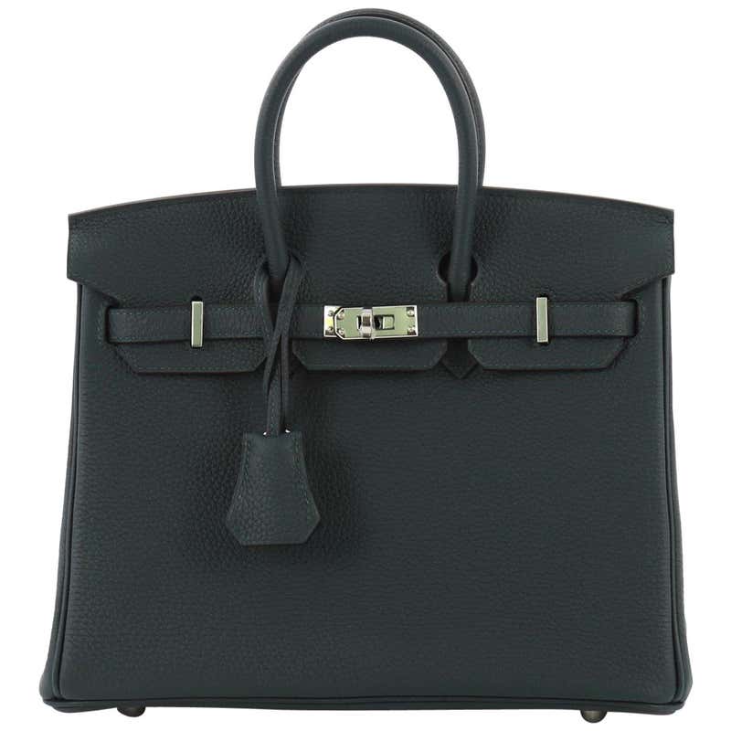 Hermes Birkin Handbag Vert Cypress Togo with Palladium Hardware 25 at ...