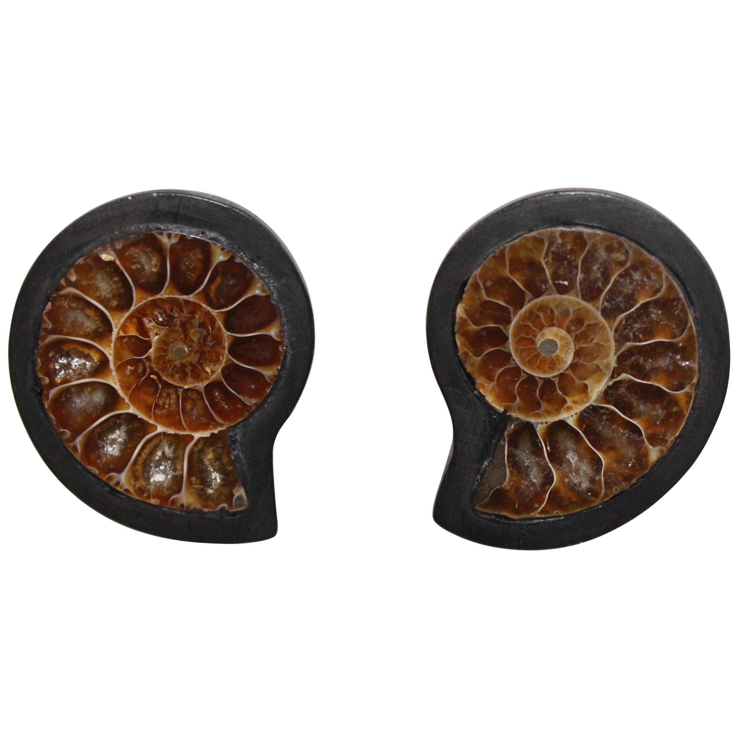 Monies One of a Kind Ammonite and Ebony Clip Earrings 