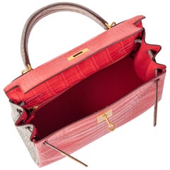 birkin pink crocodile｜TikTok Search