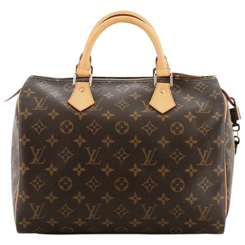 louis vuitton shoe pouch