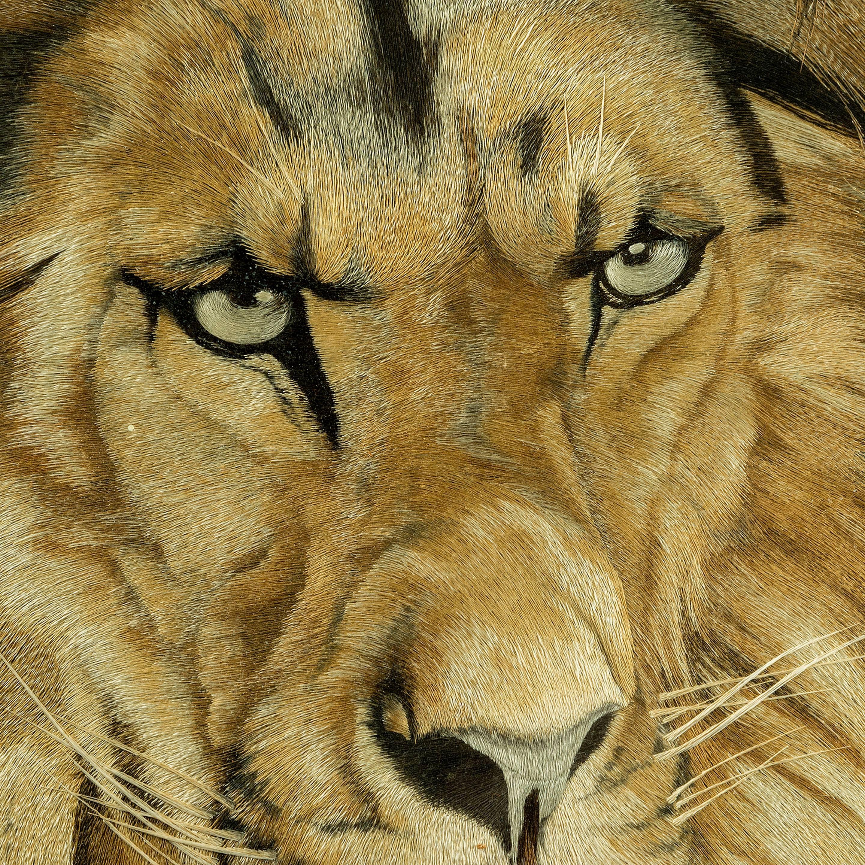 An outstanding exhibition quality Meiji period silk embroidery of a lion and lioness. Worked in rich tones of cream, silver, gold and brown silk thread with black detailing, the powerfully drawn lion staring outwards and the lioness asleep. Within