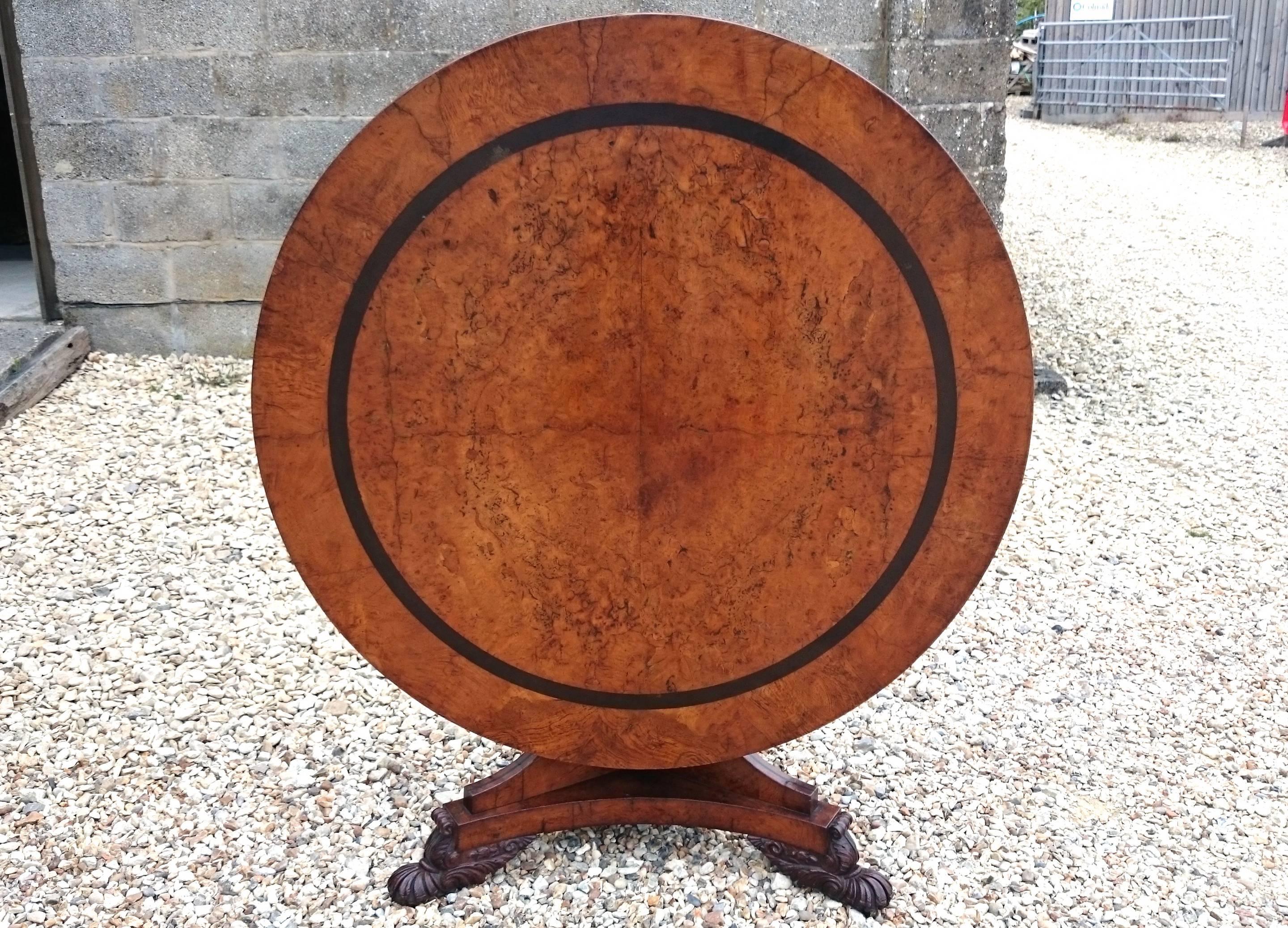 Antique breakfast table made of a very fine cut of burr oak with ebony banding in the manner of George Bullock. This is a very fine table with excellent patination that has faded to a good honey colour. 

English circa 1825 

48½