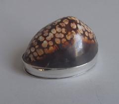 Antique A rare George III silver mounted Cowrie Shell Snuff Box made in Birmingham in 18