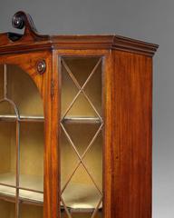 George III Mahogany Hexagonal Display Cabinet