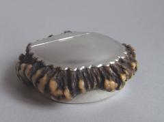 An extremely rare George III Silver mounted Antler Snuff Box made in Sheffield