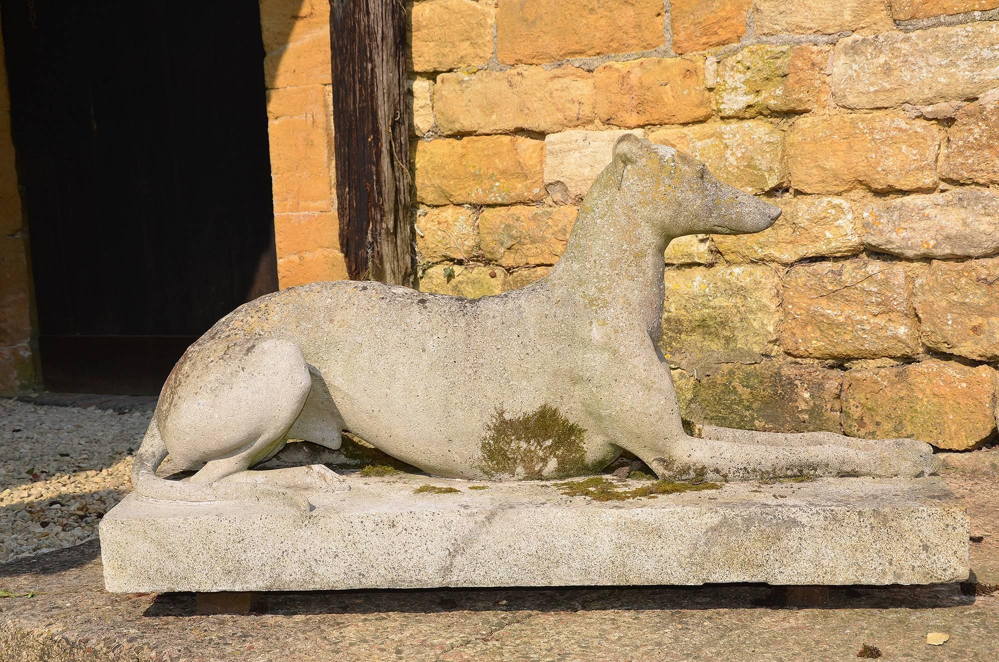 Illustrated in the 1660 Austin and Seeley catalogue, these elegant over lifesize greyhounds are in excellent condition (small amount of restoration required to tail and ears) and have good patination.