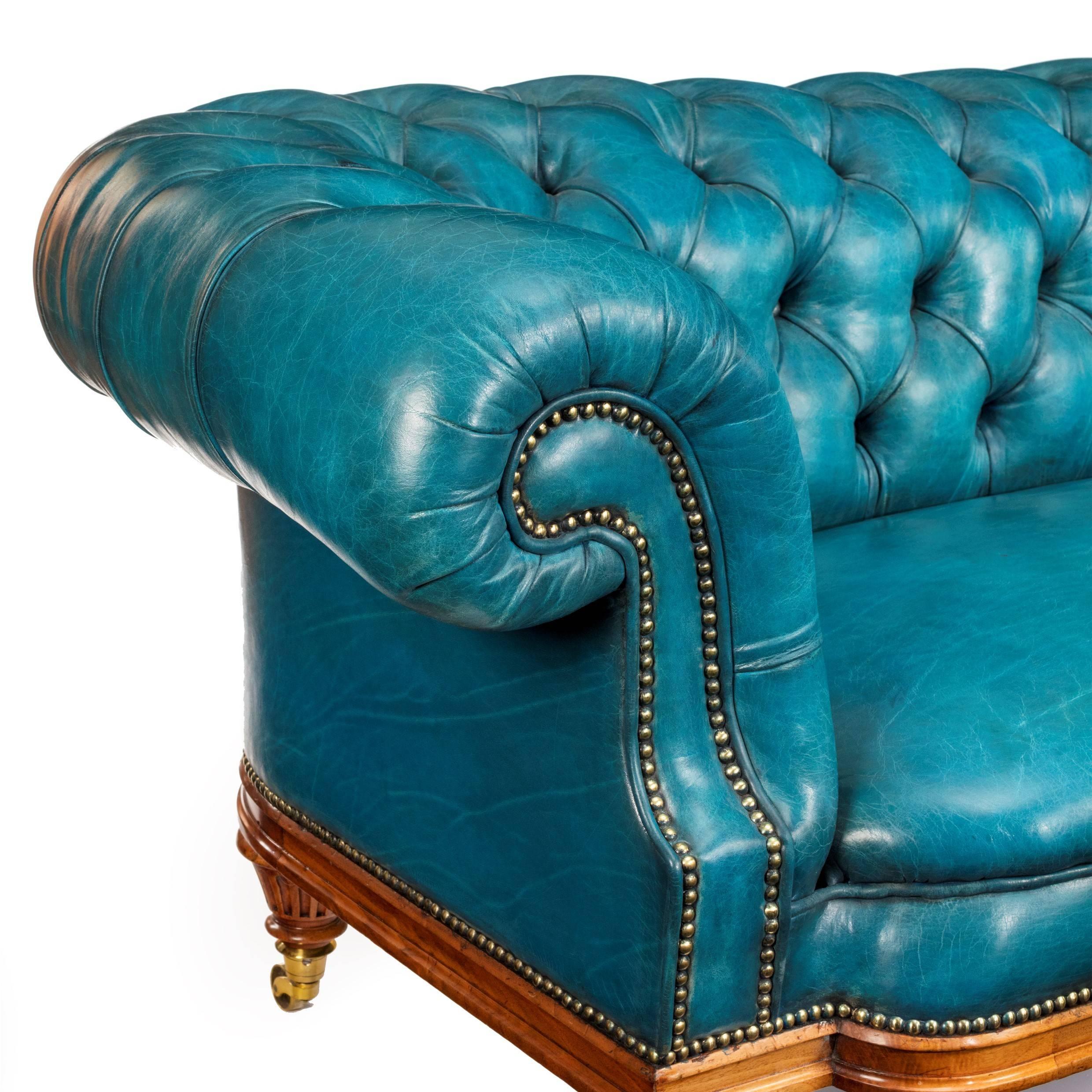 Unusual Victorian Chesterfield sofa on a walnut show wood frame, of typical form with deep seats and rolled arms and back, re-upholstered in deep buttoned turquoise leather.