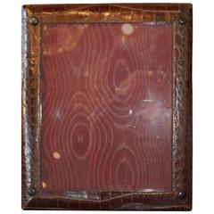 Alligator Picture Frame