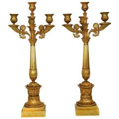Pair of French Empire Style Gilt Bronze Four-Light Candelabra