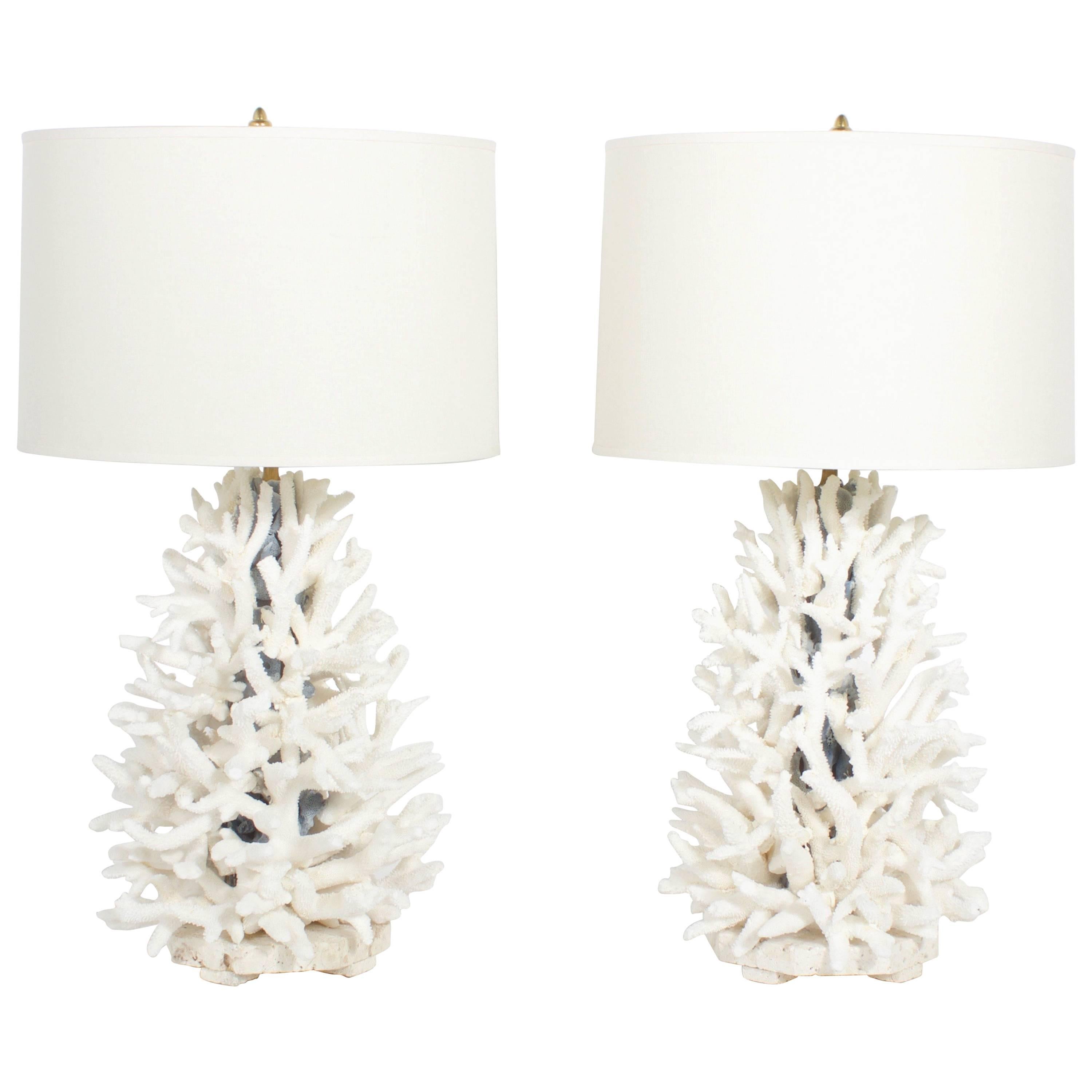 Pair of Staghorn and Blue Coral Lamps