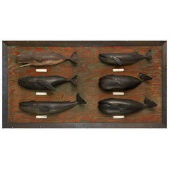 Carved and Painted Six Whale Species Board Made by Nantucket Whaler, circa 1940