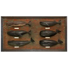 Carved and Painted Six Whale Species Board Made by Nantucket Whaler, circa 1940 7