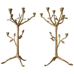 Pair of Organic Modern Tree Branch Candleholders
