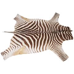Zebra Skin 'Burchelli' 