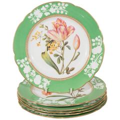 Plats en porcelaine anciens Bordures vert pomme Fleurs botaniques peintes à la main