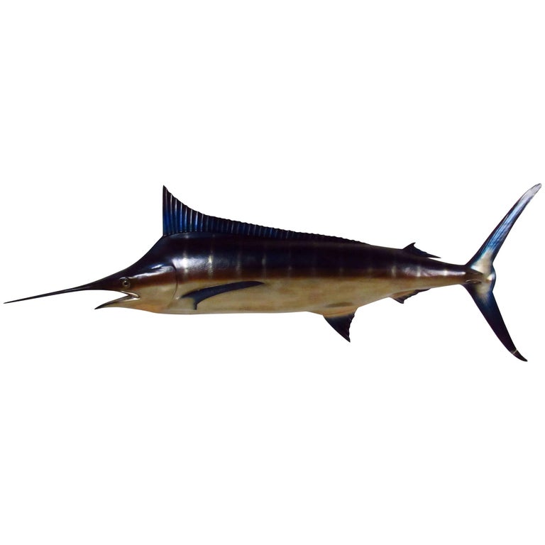 Vintage Wall Mount Swordfish at 1stDibs swordfish wall mount, mounted