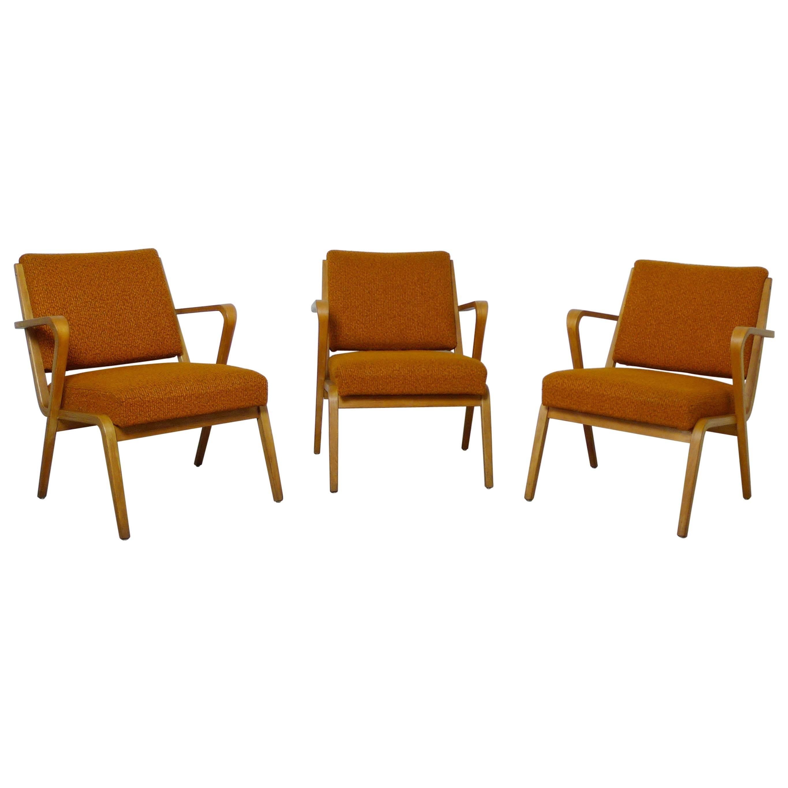 Selman Selmanagic Easy Chair for DW Hellerau, Germany 1950s