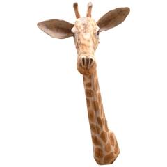 Paper Mache Giraffe