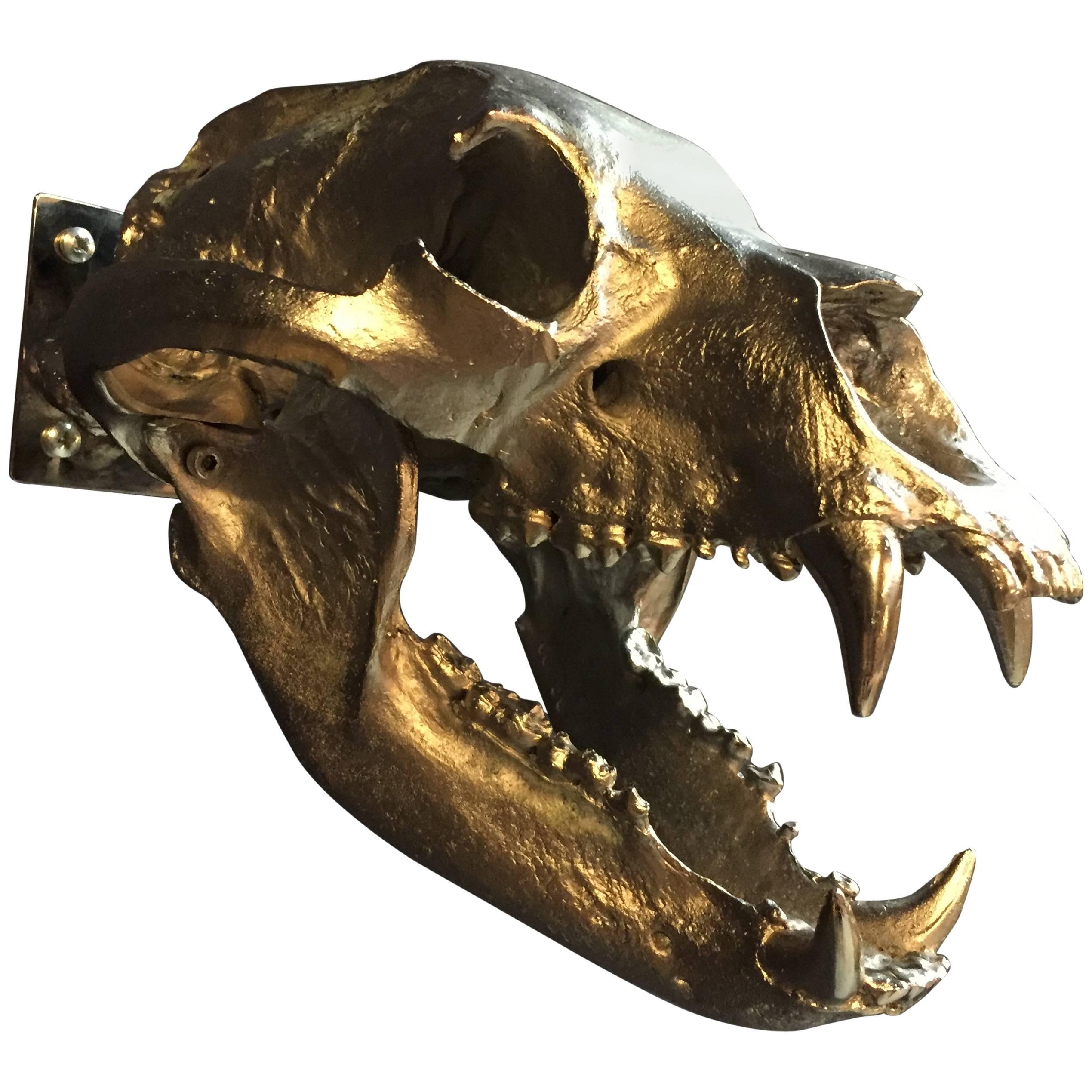 Casted Bronze Skull of a Bear at 1stDibs