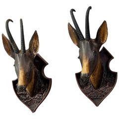 Pair of Black Forest Carved Wood Chamois Heads 