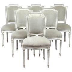 Antique Louis XVI Style Set of Six Dining Chairs Antique Louis XVI Style Set of Six Dining Chairs