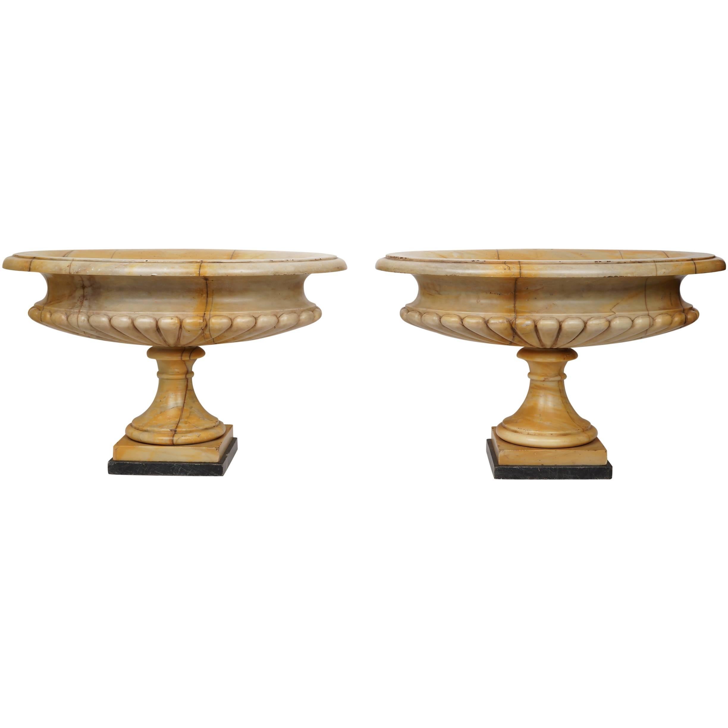 Oval Pair of Neoclassical Marble Footed Centrepiece Tazza Bowls
