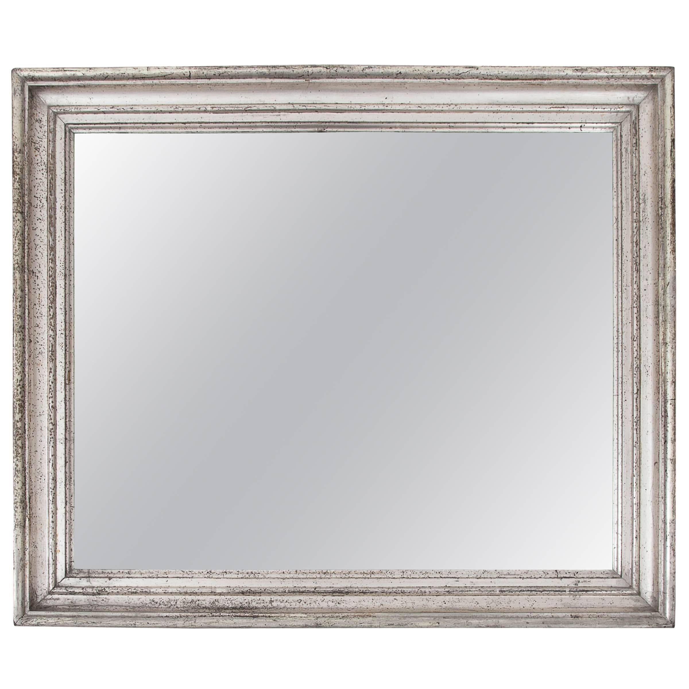 Early 19th Century Silver Giltwood Mirror, France, circa 1840 For Sale