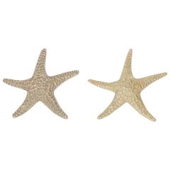 Two Realistic Cast Brass Starfish