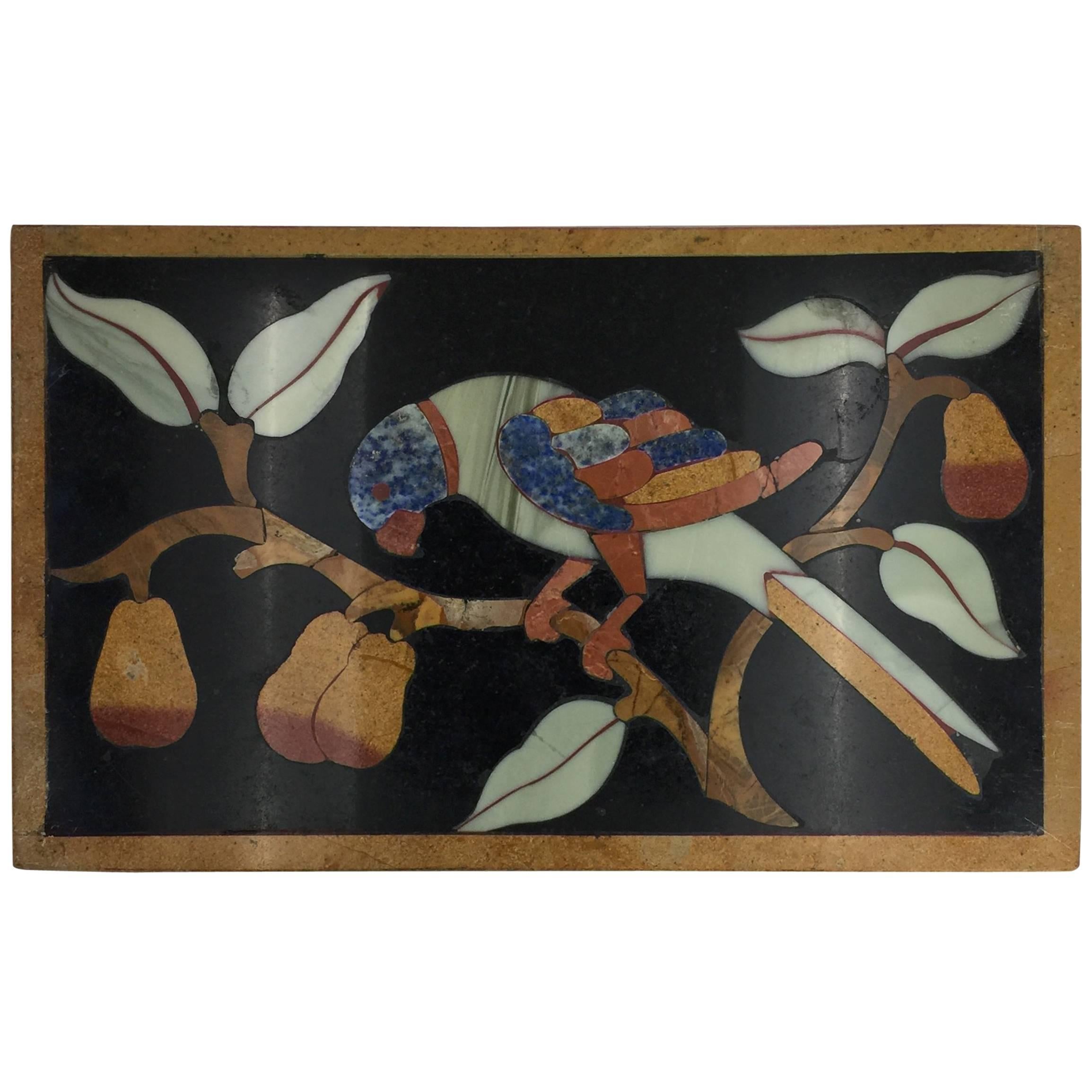 Italian Pietre Dure Panel of Parrot on Branch, Late 17th Century For Sale