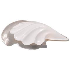 Acrylic Shell Lamp by Rougier, circa 1970 4