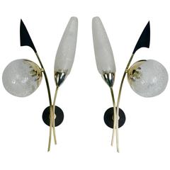 Large Pair of 1950s "Two Flowers" Sconces by Maison Arlus 5
