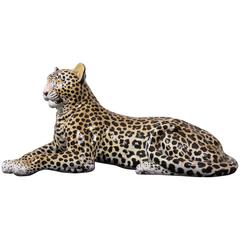Italian Terracotta Leopard Monumental Size