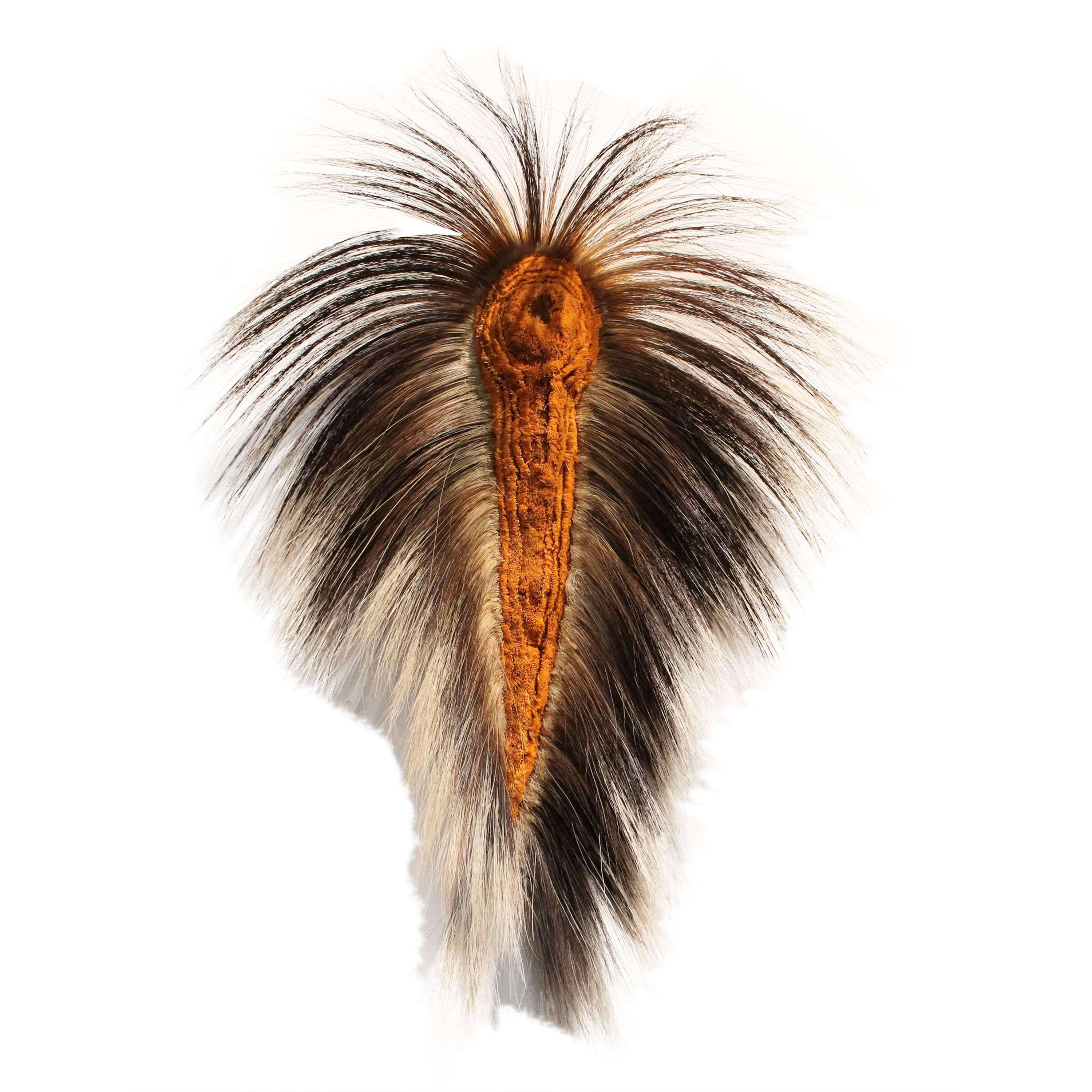 19th Century Native American Roach