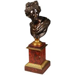 19th Century Bronze Neoclassical Bust with Rouge Marble Base of Apollo