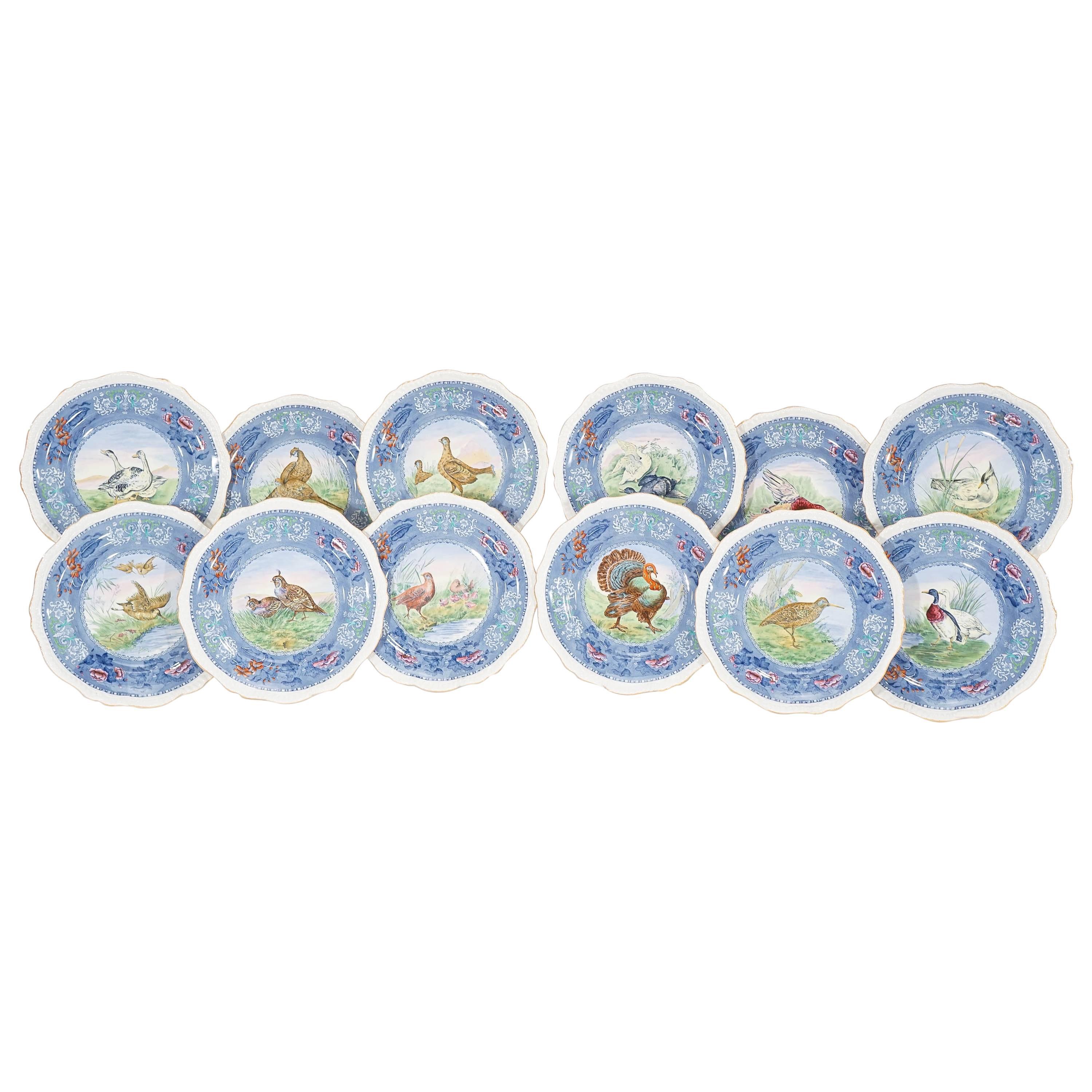 Set of 12 Copeland Spode Game Bird Dinner Plates with White Borders
