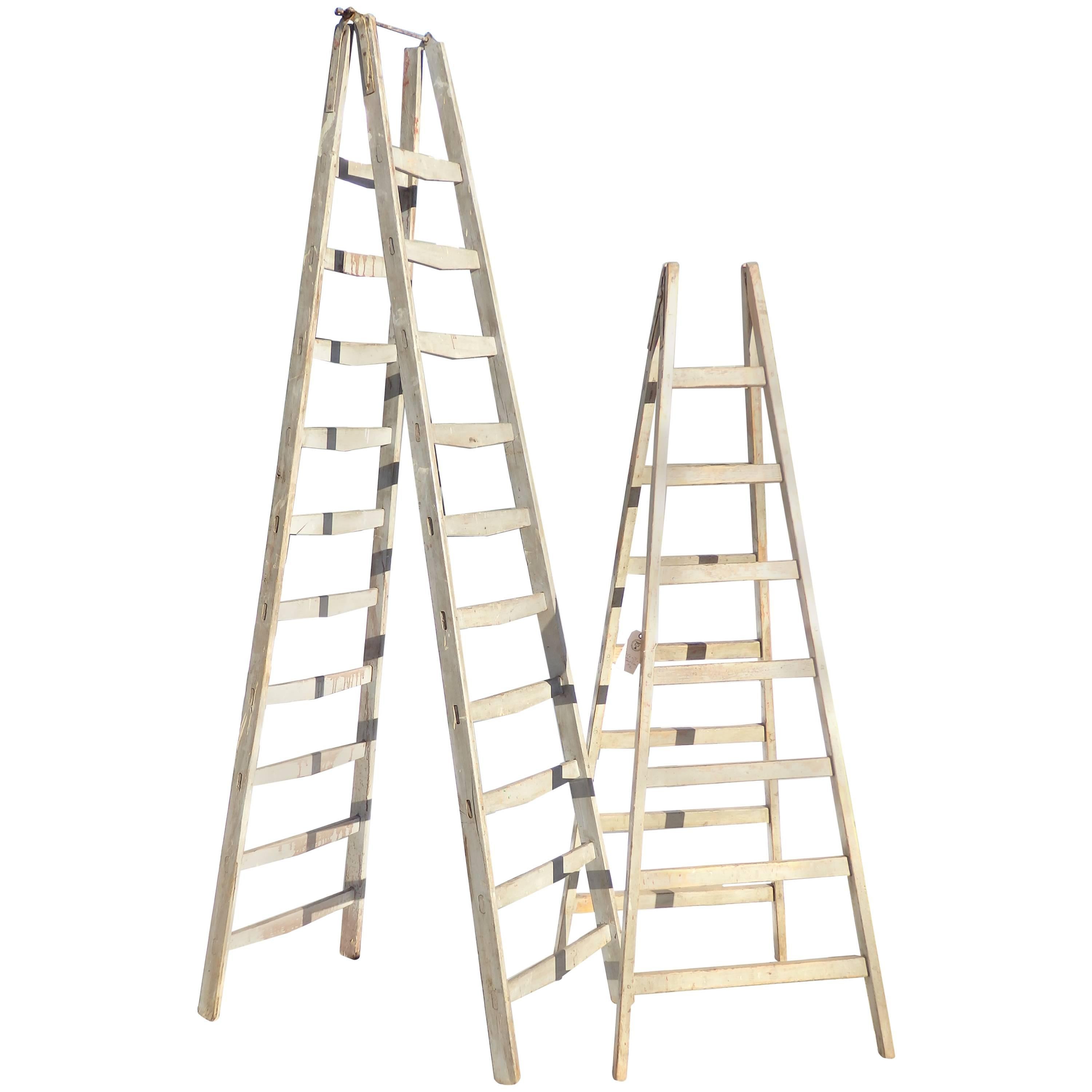 French Fruit picking ladders For Sale