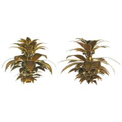Pair of "Agave" sconces attributed to Maison Jansen 