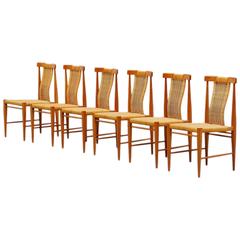 Belgian Dining Chair Set in Oak and Cane, 1955