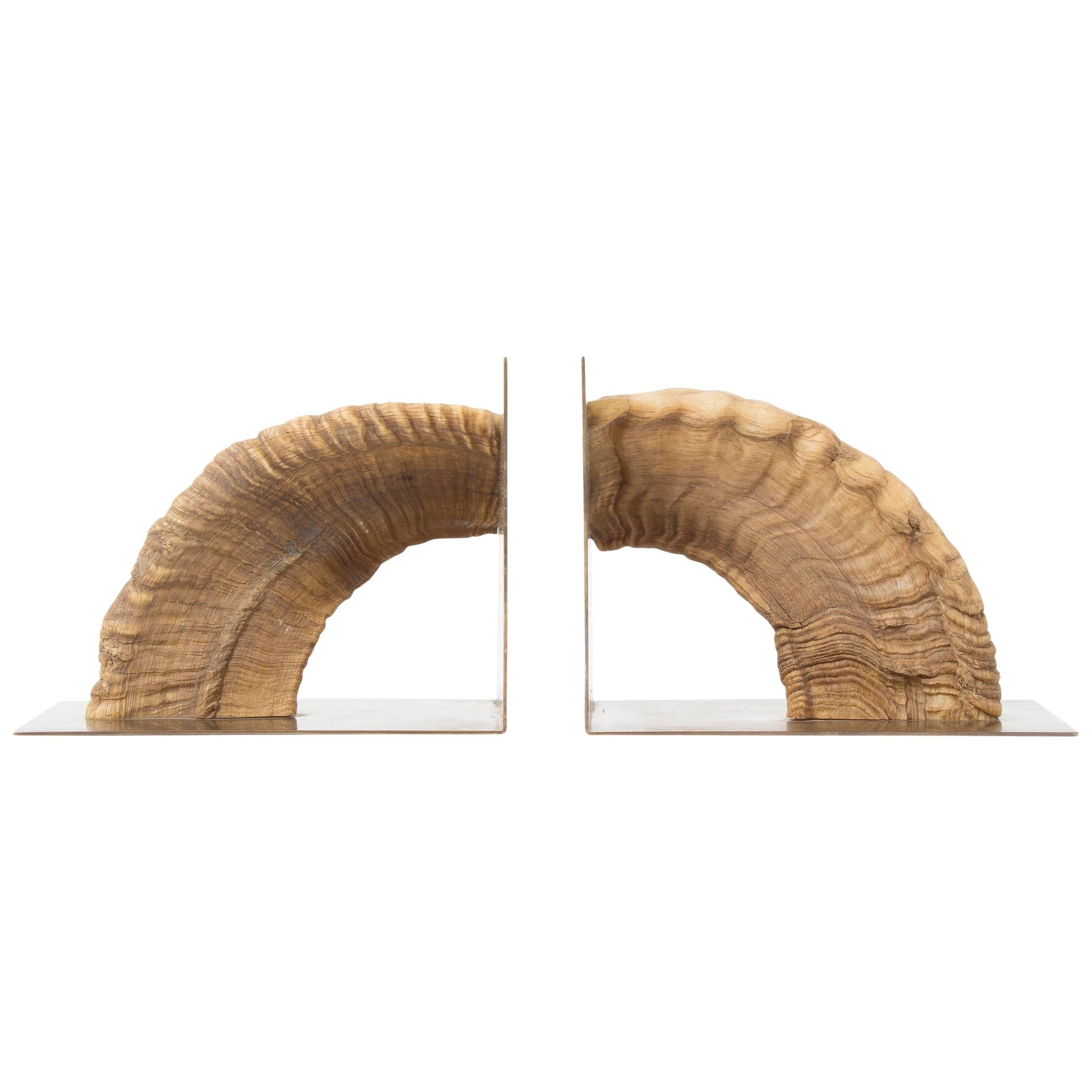 Pair of Auböck, Midcentury Brass and Horn Bookends For Sale