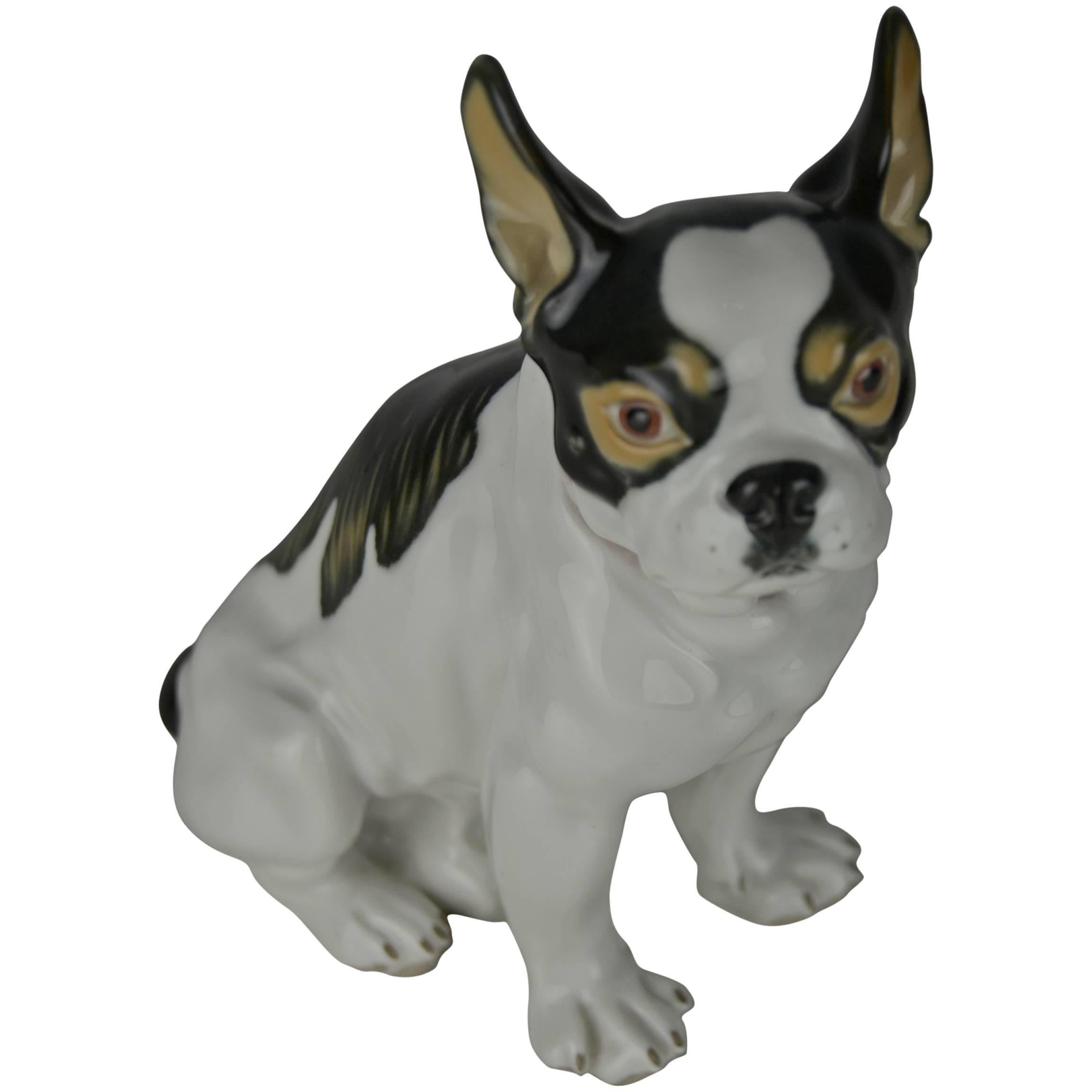 1950s  Meissen Porcelain French Bulldog