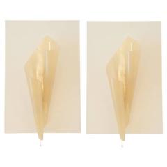Pair of Hanns Hoffmann Lederer Perspex Appliques