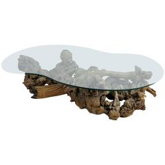 Large Root Burl Driftwood Coffee Table with Free-Form Glass Top