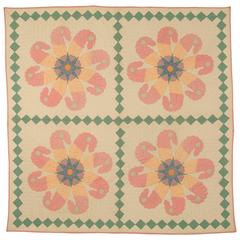 "Princess Feather" Antique Quilt 9