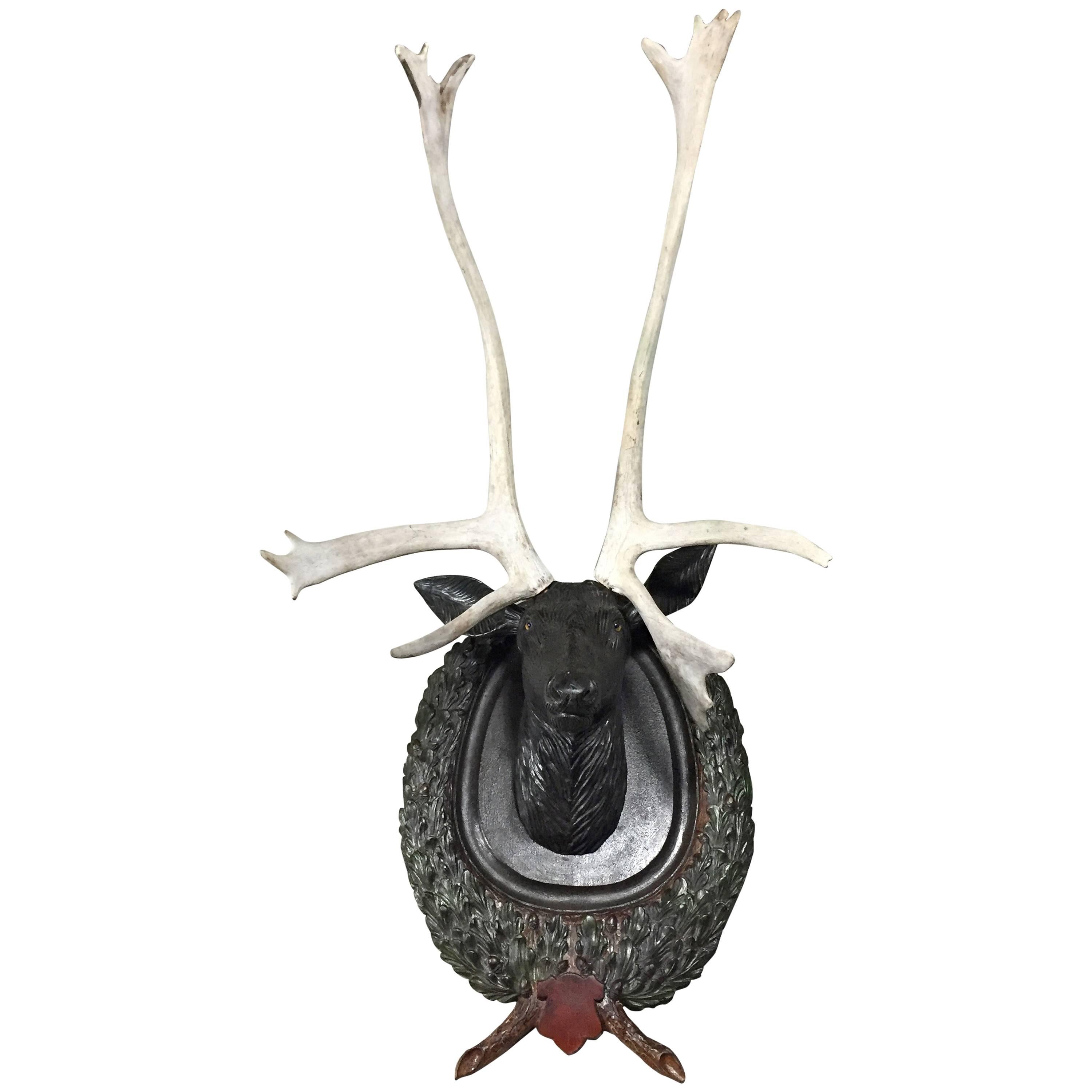 Lifesize Black Forest Carved Stag Head and Antlers, Early 1900s