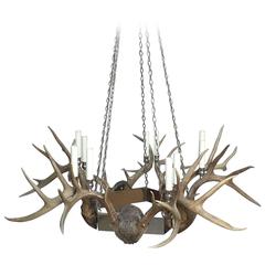 Antler and Chrome Chandelier