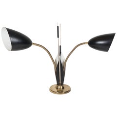 Mid-Century Black Enamel and Brass Gooseneck Lamp with Cat Tail Motif