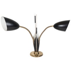 Lampe à col de cygne du milieu du siècle en émail noir et laiton avec motif de queue de chat